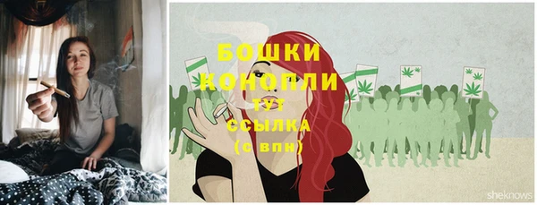 стафф Навашино