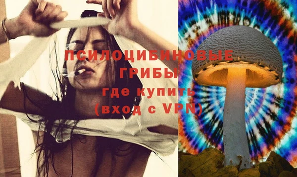 2c-b Михайловск